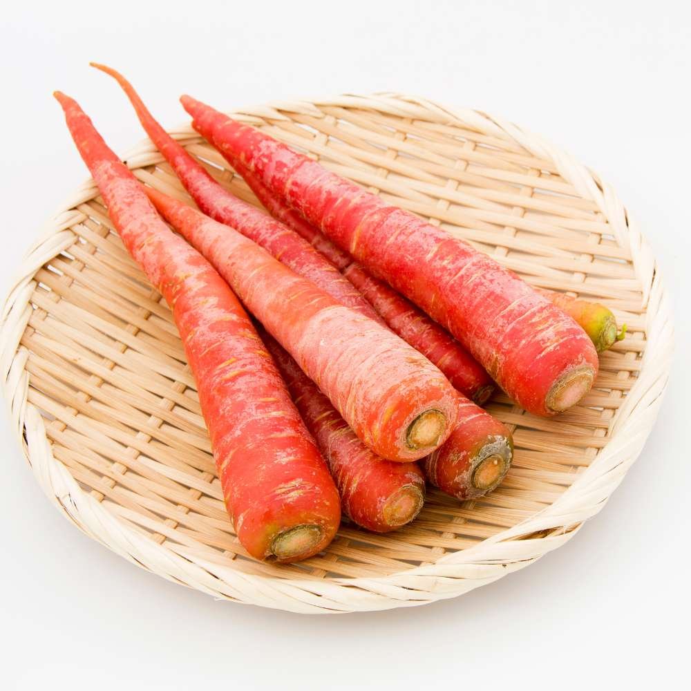 carrot (gajar)