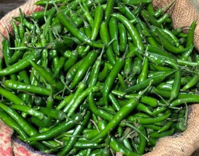 green chilly (mirchi)
