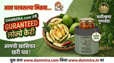 green pickle mango (लोन्च कइरी)