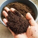 organic compost fertilizer